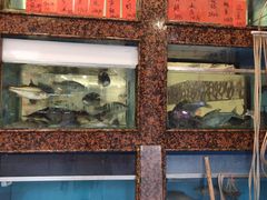 桂花鱼-嘉华海鲜酒家(龙津中路店)