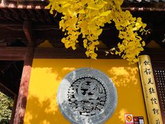 -龙华素斋(龙华路店)