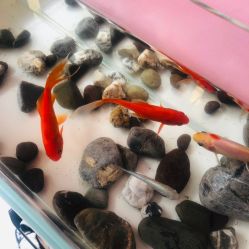 -汐月Health纤体spa中心