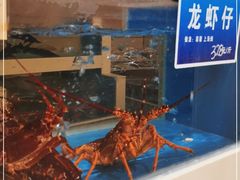 水产区-双井轩(双井店)