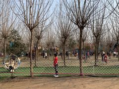 -遇见世外桃源教育农场