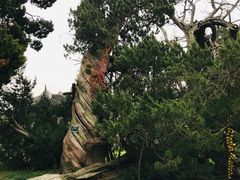-司徒庙