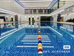 -西吉马游泳健身(协信店)