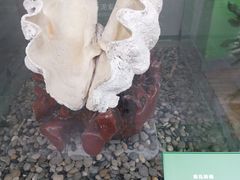 -中国湿地博物馆