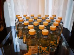 -上海安亭别墅花园酒店