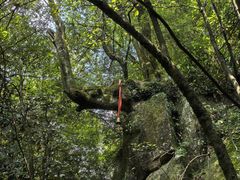 -大鄣山卧龙谷景区