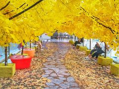 -义乌之心城市生活广场(新马路店)