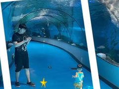 -泉城欧乐堡海洋极地世界