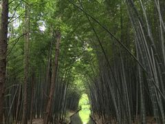 -同里国家湿地公园