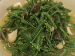 上汤丝瓜苗-西江美食舫·江西菜(健德桥店)