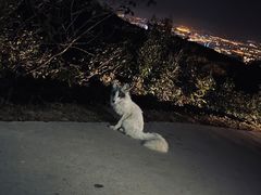 -鬼笑石后山停车场