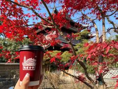 -龙华寺