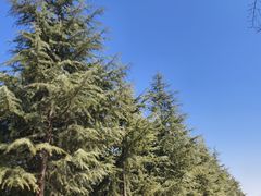 -汉长安城未央宫国家考古遗址公园