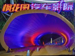 -枫花园汽车电影院(朝阳公园店)