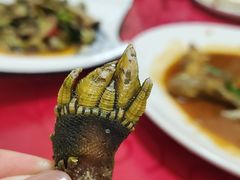 爆炒佛手-文仔海鲜馆