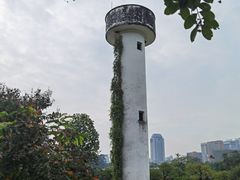 -广西壮族自治区药用植物园