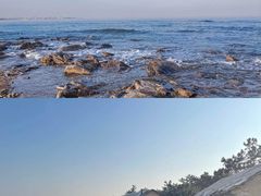 -日照海滨国家森林公园