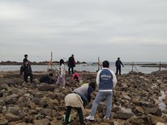-青岛银沙滩