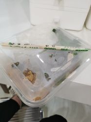 -新生植发·植养护一体