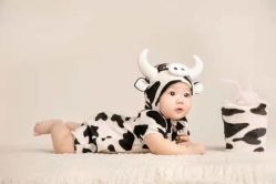 -施华洛婚纱摄影会所(范阳中路店)