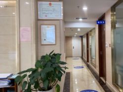 -碧莲盛·不剃发植发