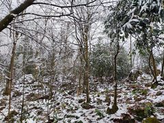-九峰山