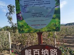 -北京张裕爱斐堡酒庄
