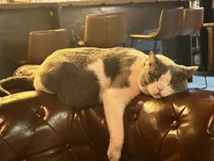 -后院儿·精酿·塔罗Happy Bar