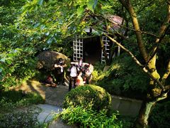 -中国茶叶博物馆(双峰馆区)