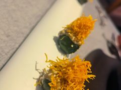 -柿合缘新京菜(国金中心商场店)