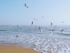 -老虎石海上公园