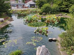 植物园西门-国家植物园(南园)