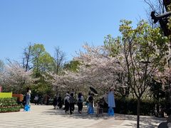 -南山植物园