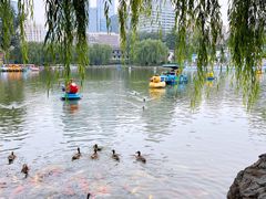 -团结湖公园