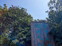 -贵州百里杜鹃风景名胜区