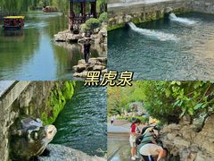-老板恋上鱼(印象城店)