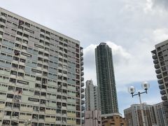 -彩虹村