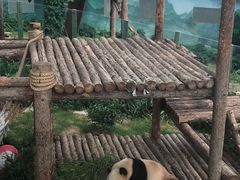 -大连森林动物园