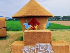 -长洲岛