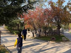 -禅宗少林·音乐大典