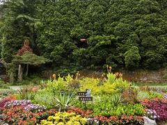 -庐山风景区花径公园