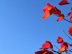 -北京西山国家森林公园