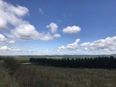 -塞罕坝国家级自然保护区