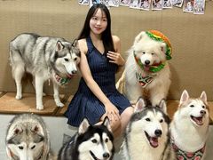 -星多哈·狗咖·拼豆·咖啡