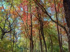 -长春市南湖公园