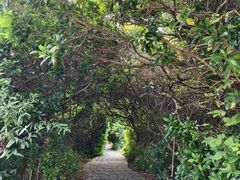 -水濂山森林公园