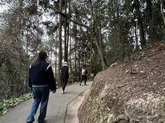 -窦圌山风景区