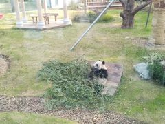-无锡动物园·太湖欢乐园