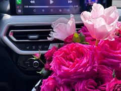 -循礼门鲜花花市(武汉循礼门店)