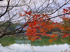 -白马涧龙池景区